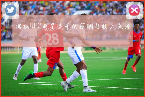 揭秘UFC明星选手的薪酬与收入来源