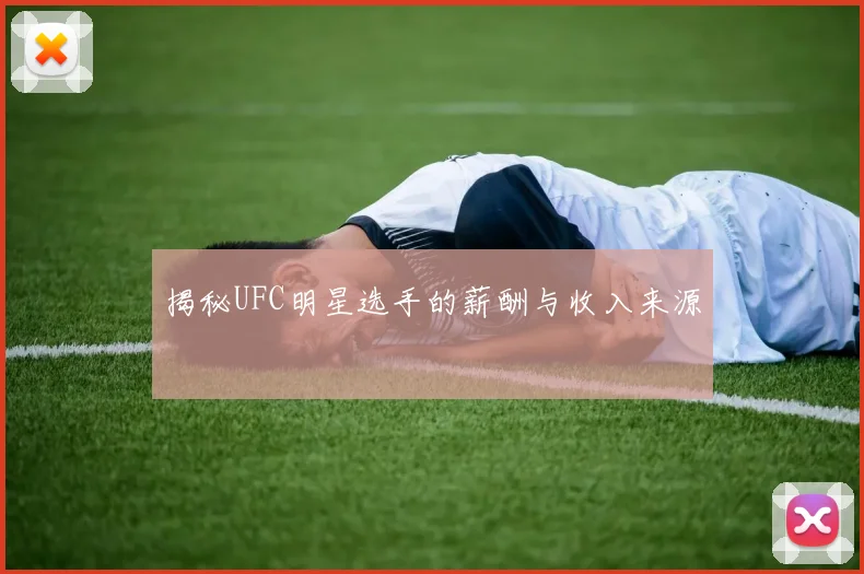 揭秘UFC明星选手的薪酬与收入来源