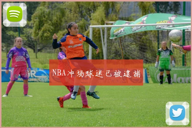 NBA冲场球迷已被逮捕