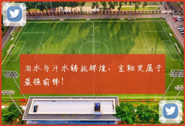 泪水与汗水铸就辉煌，金靴奖属于最强前锋！