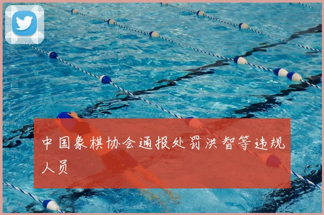中国象棋协会通报处罚洪智等违规人员