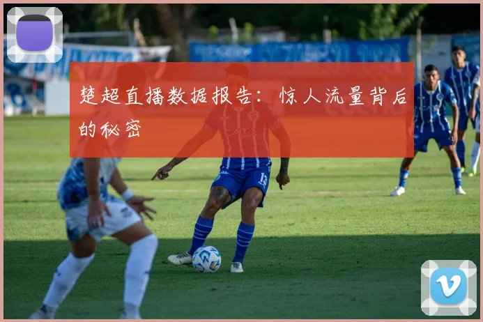 楚超直播数据报告：惊人流量背后的秘密