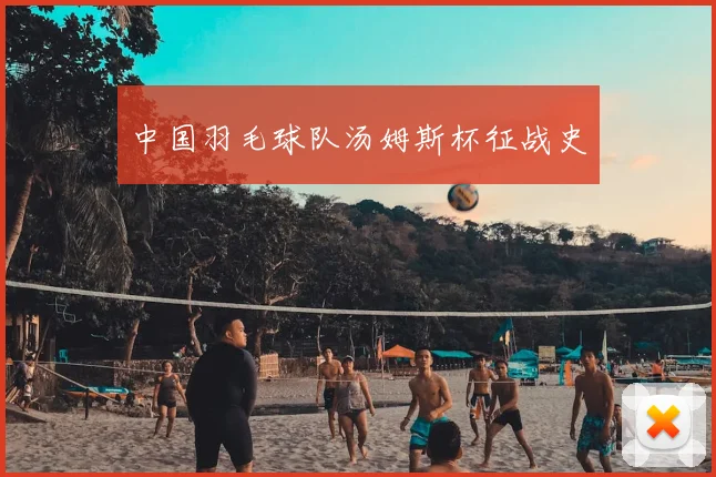 中国羽毛球队汤姆斯杯征战史