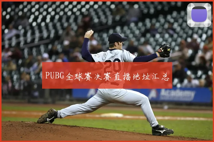 PUBG全球赛决赛直播地址汇总